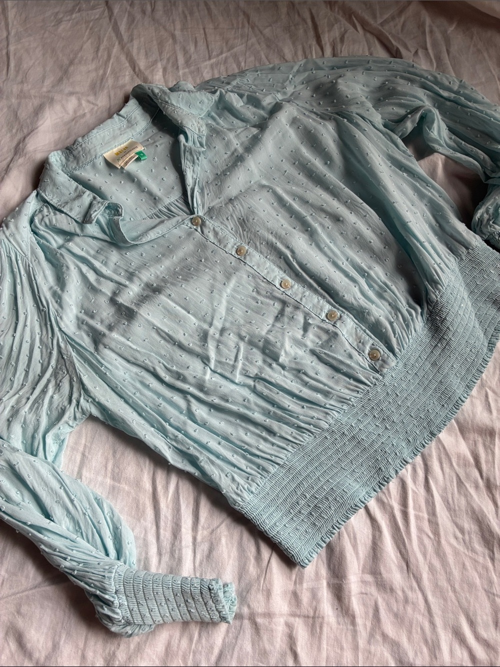 Anthropologie Pale Blue Swiss Dot Button Shirt
